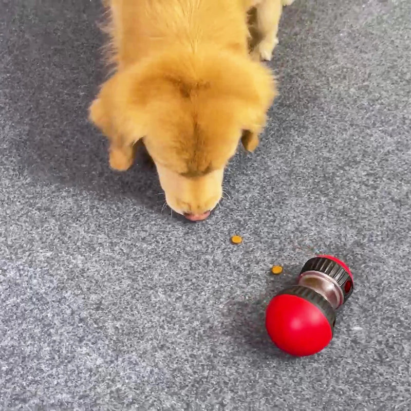 Brinquedo Holapet para cães pequenos, médios e grandes